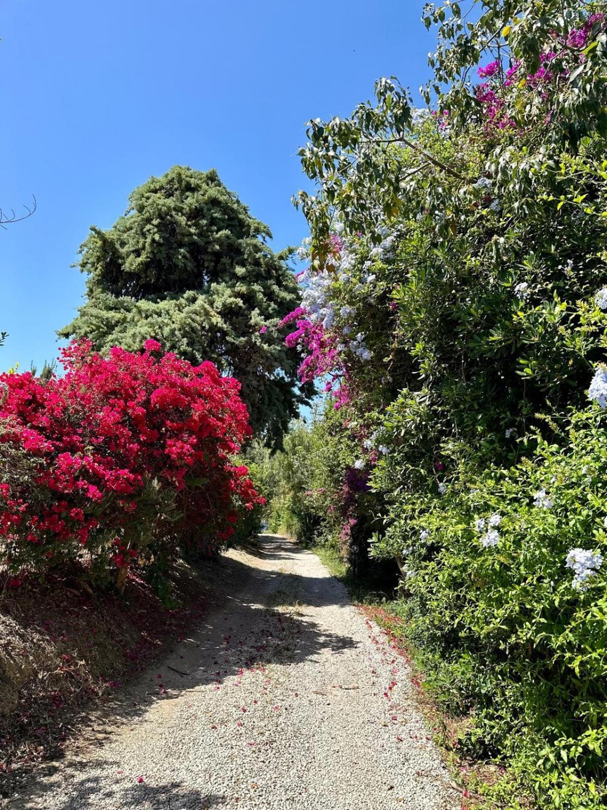 Villa Tiche เชฟาลู ภายนอก รูปภาพ